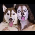 Israeli Makeup Artists Transforms Herself Into A Dog