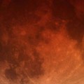 Stargazers follow rare ‘blood moon’ event