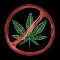 Ten Reasons Why Marijuana Is Not For You, Your Children, Your State, Or Your World