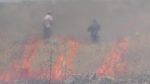 Jerusalem – Israeli Settler Suspended From IDF After Caught On Camera Setting Palestinian Field Alight