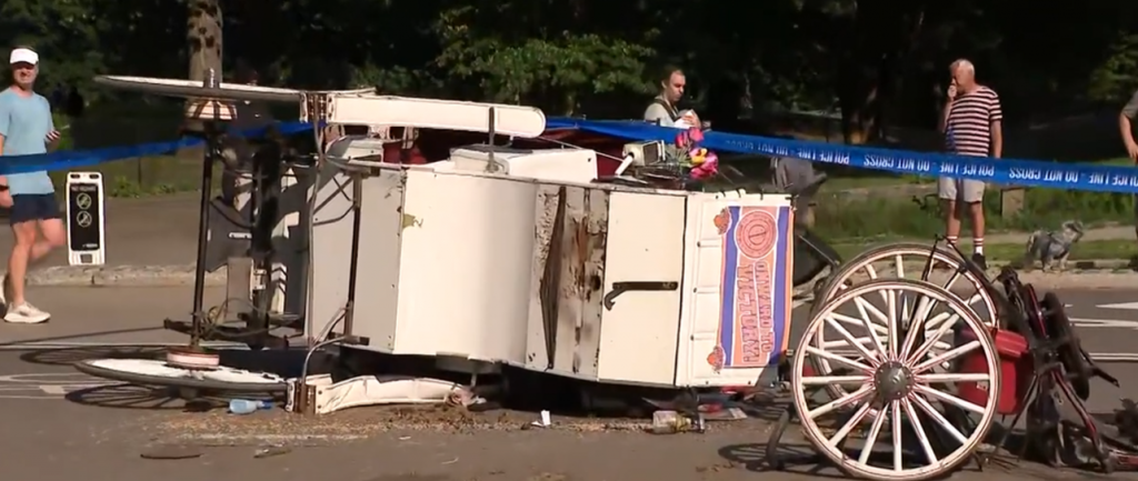 Update: Teenager Dies After Being Thrown From Horse-Drawn Carriage in NYC’s Central Park